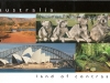 016 - cohalas from Australia